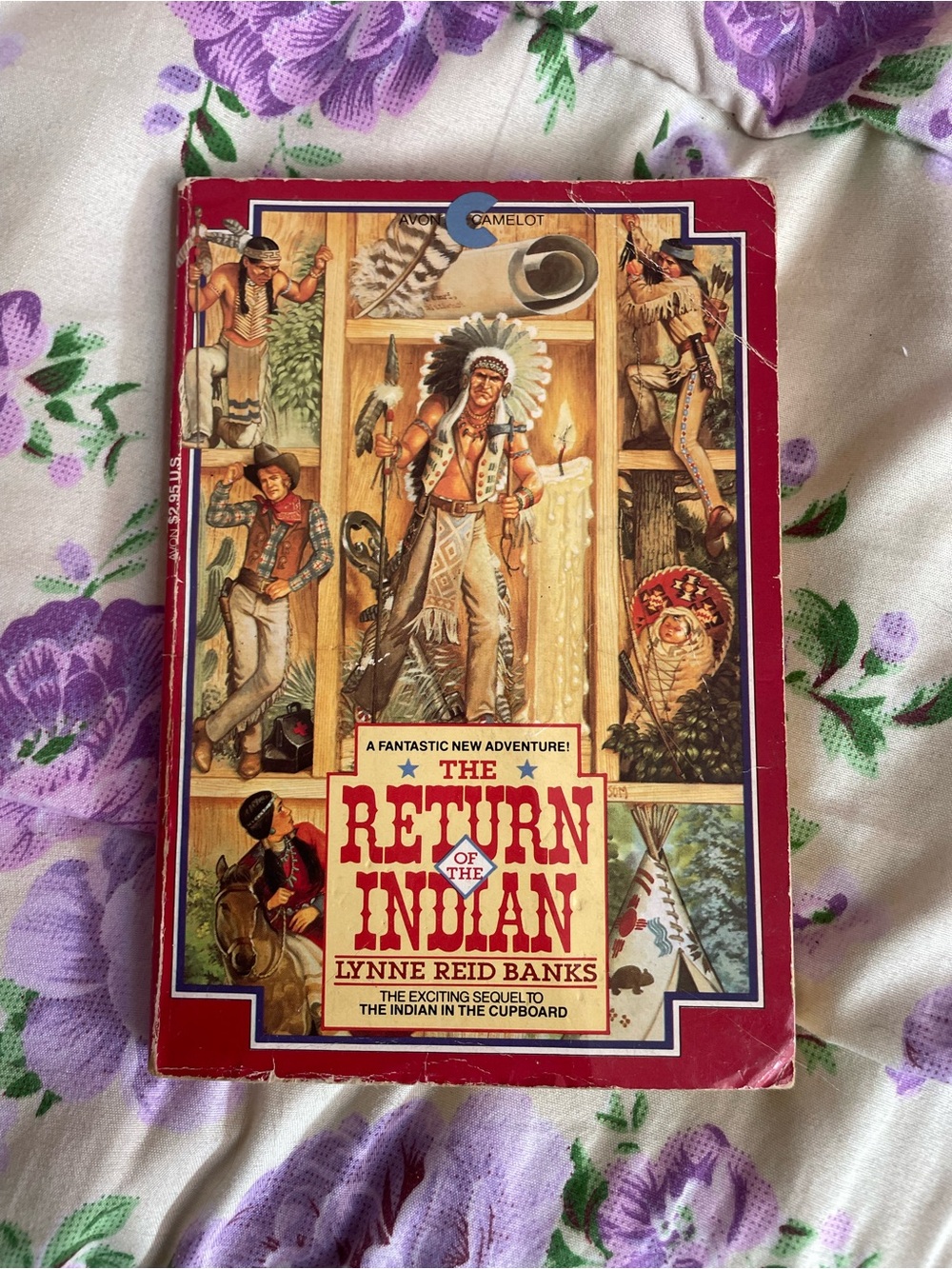 The return of the Indian book